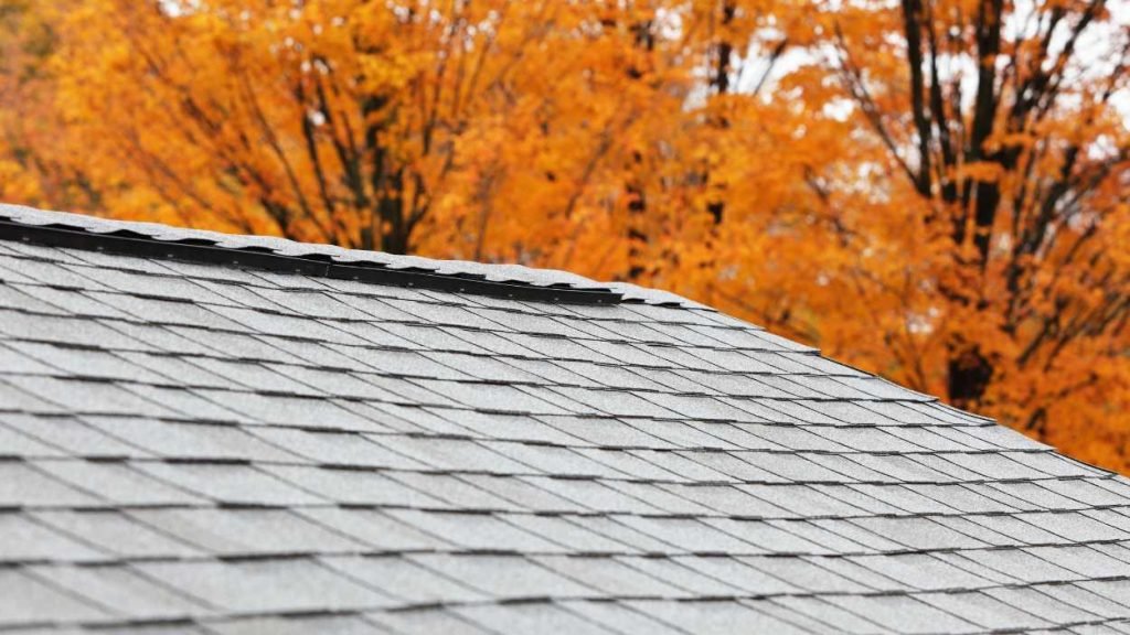Roof Mortar bed preparation