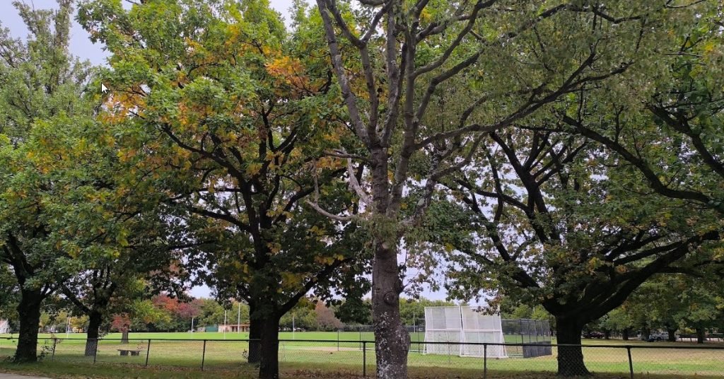 Reid Park