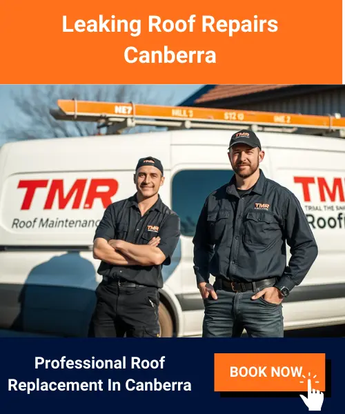 Professional Roof Replacement In Canberra